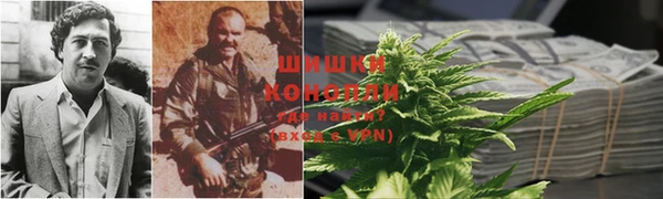 молекула духа Балабаново