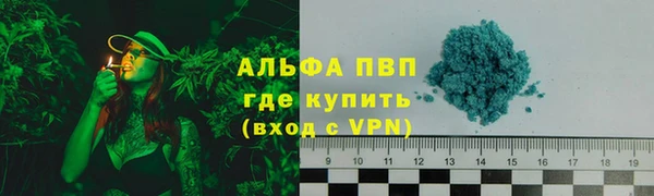 шишки Заволжье