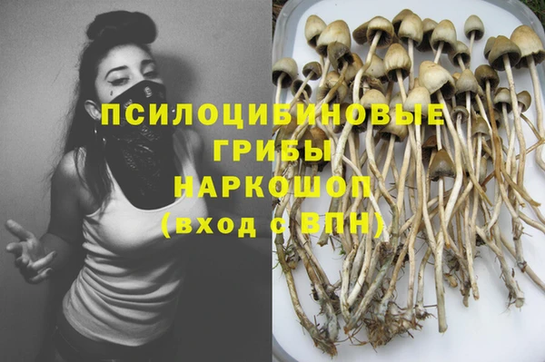 молекула духа Балабаново