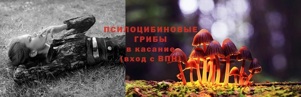 соль ск Аркадак